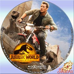 新たなる支配者