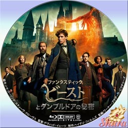 ダンブルドアの秘密